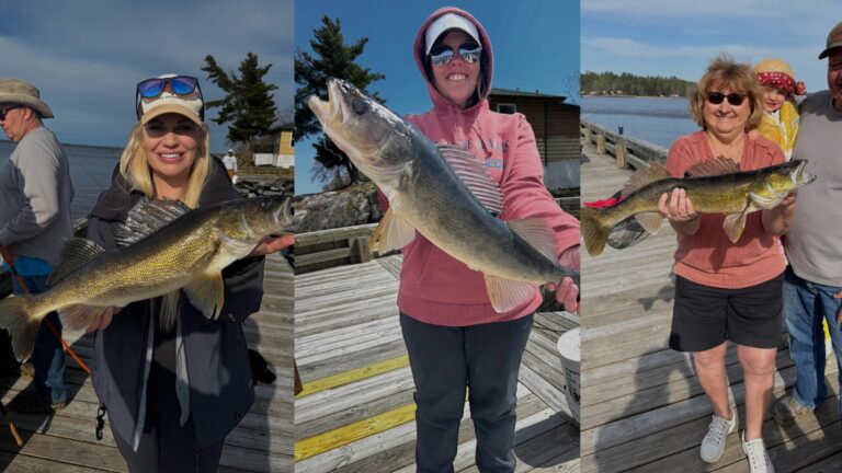 Kabetogama Lake spring walleye fishing with Driftwood Lodge Resort